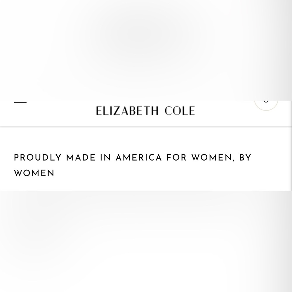 Beautiful Elizabeth Cole gold chain necklace - Picture 7 of 8